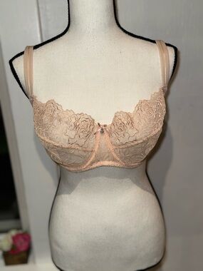 Sheer Floral Lace Underwire Bra in Blush